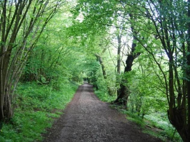 Meopham  Ramblers Rest 아파트 외부 사진